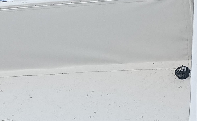 Объект Лента ТК-78 - изображение  №11>