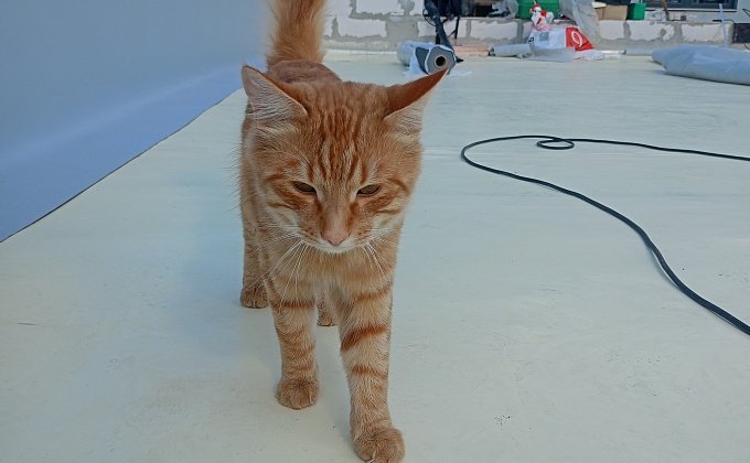 Объект Монтаж кровли дома - изображение  №5>