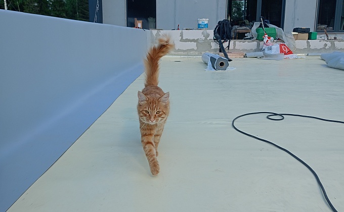 Объект Монтаж кровли дома - изображение  №8>