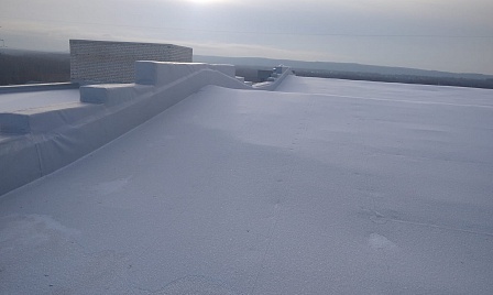 Объект - Ремонт кровли производственного корпуса фото №1