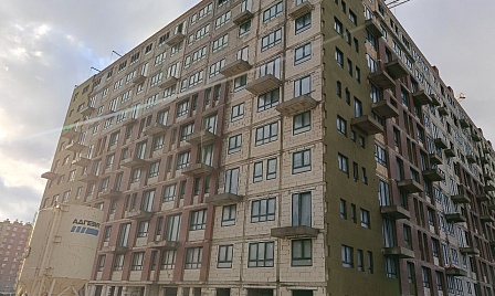 Объект - ЖК Невская долина фото №3