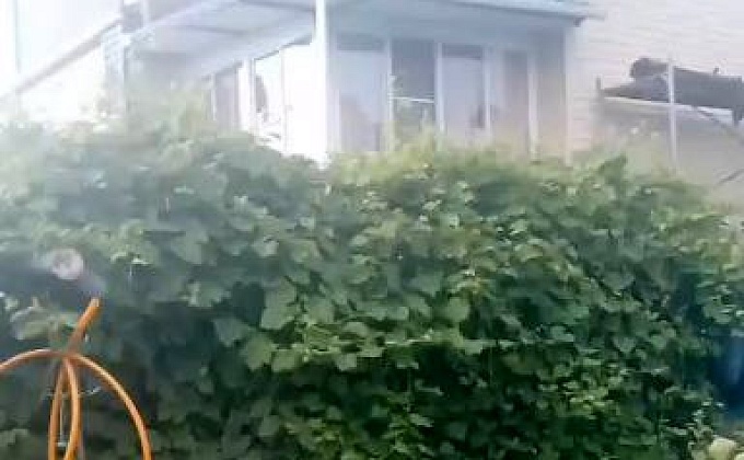 Объект Ремонт кровли Родная - изображение  №7>