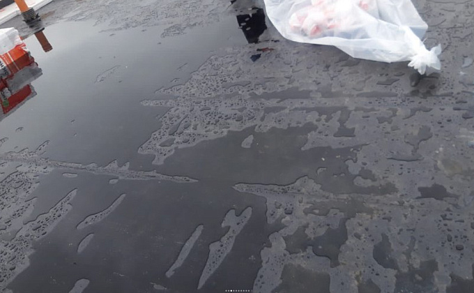 Объект Гараж с плоской кровлей - изображение  №2>