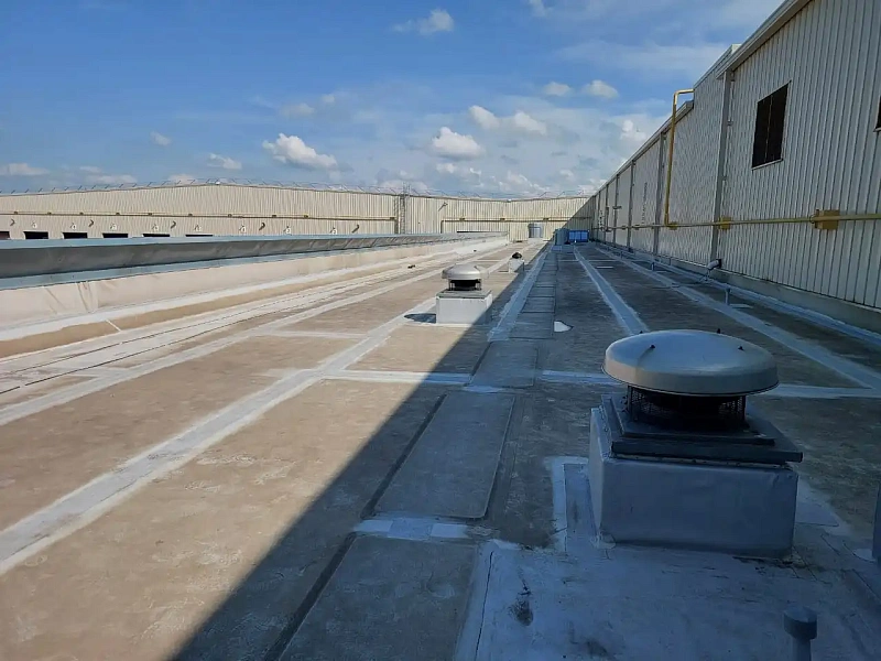 Photo-1