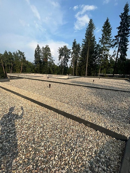 Photo-2