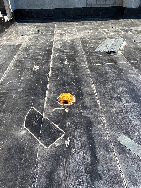 Photo-6