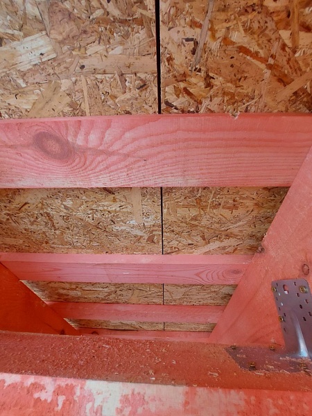 Photo-12